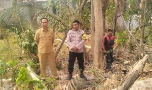 IMG-20261014-WA0032